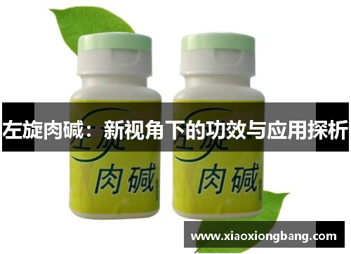 左旋肉碱：新视角下的功效与应用探析