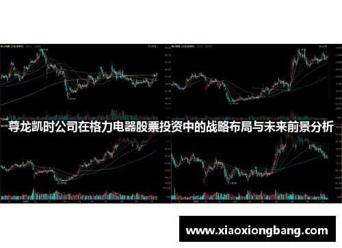 尊龙凯时公司在格力电器股票投资中的战略布局与未来前景分析