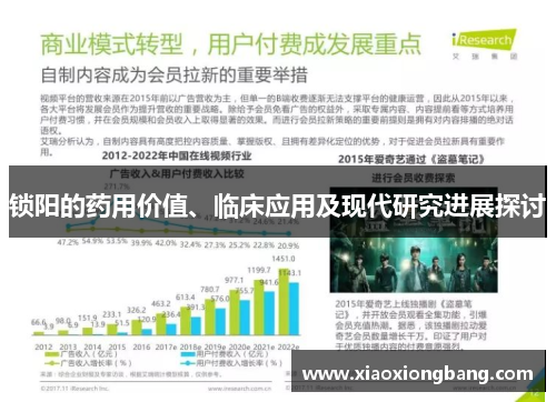 锁阳的药用价值、临床应用及现代研究进展探讨