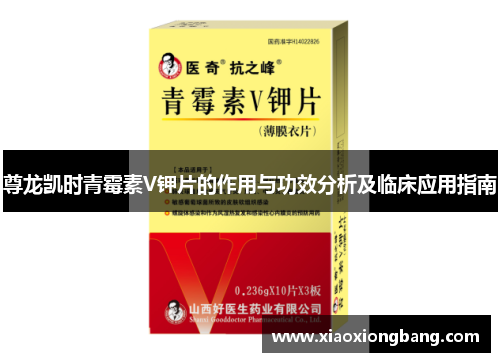 尊龙凯时青霉素V钾片的作用与功效分析及临床应用指南