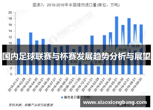 国内足球联赛与杯赛发展趋势分析与展望